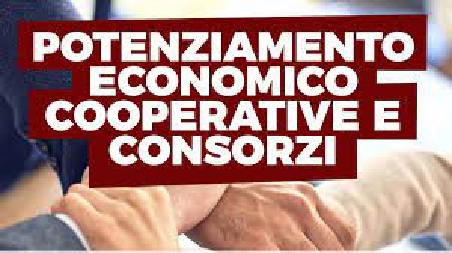 PRIMO ELENCO - Avviso pubblico a sportello per la concessione di contributi per il potenziamento economico delle Cooperative e dei Consorzi di Cooperative - Annualità 2023.